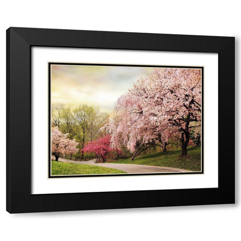 Asian Cherry Grove Black Modern Wood Framed Art Print with Double Matting by Jenney, Jessica