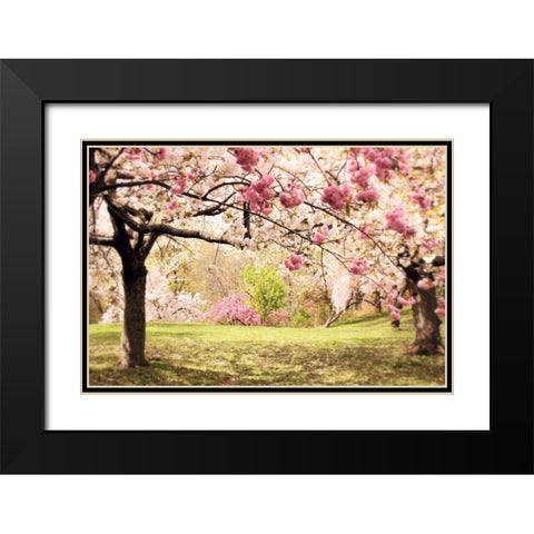Cherry Hill Black Modern Wood Framed Art Print with Double Matting by Jenney, Jessica