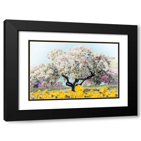 Pastel Park Black Modern Wood Framed Art Print with Double Matting by Jenney, Jessica