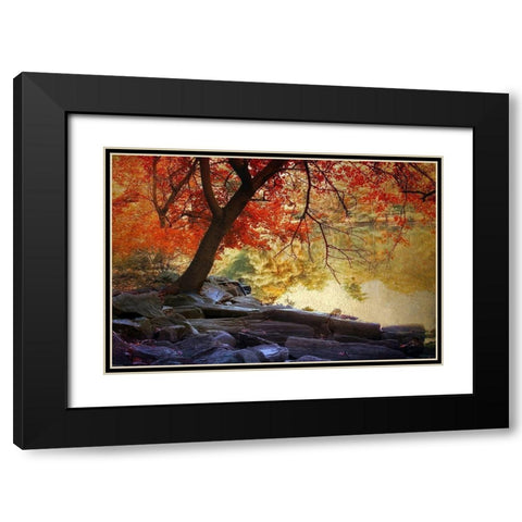 Under the Maple Black Modern Wood Framed Art Print with Double Matting by Jenney, Jessica