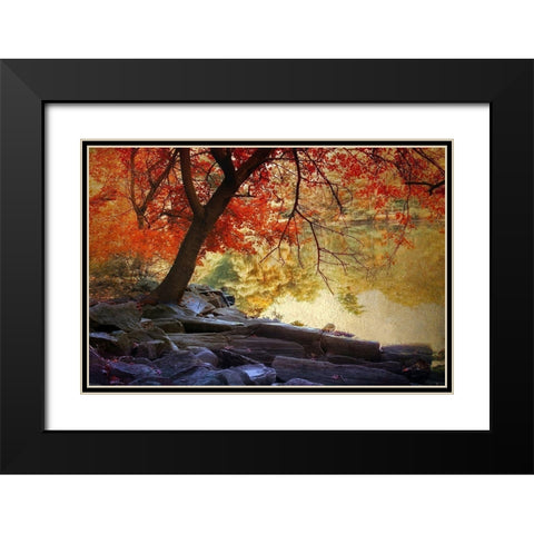 Under the Maple Black Modern Wood Framed Art Print with Double Matting by Jenney, Jessica