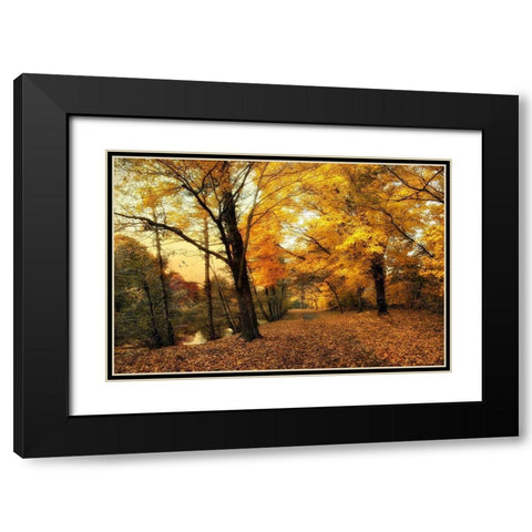 Golden Canopy Black Modern Wood Framed Art Print with Double Matting by Jenney, Jessica