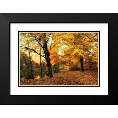 Golden Canopy Black Modern Wood Framed Art Print with Double Matting by Jenney, Jessica
