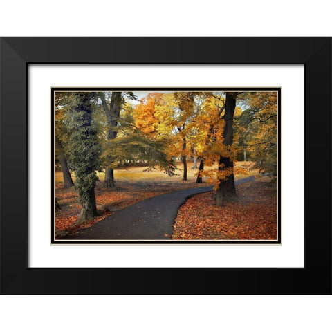 Entrance to Autumn Black Modern Wood Framed Art Print with Double Matting by Jenney, Jessica