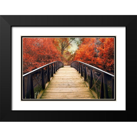 Ardent Autumn  Black Modern Wood Framed Art Print with Double Matting by Jenney, Jessica