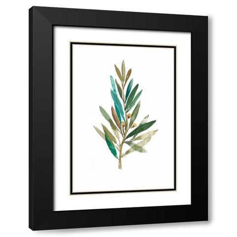 Olive III Black Modern Wood Framed Art Print with Double Matting by Jensen, Asia