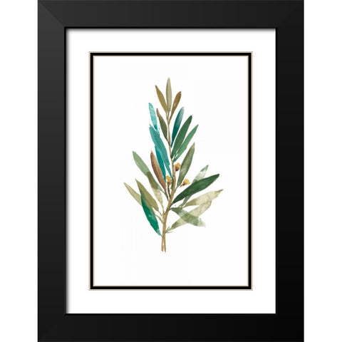 Olive III Black Modern Wood Framed Art Print with Double Matting by Jensen, Asia
