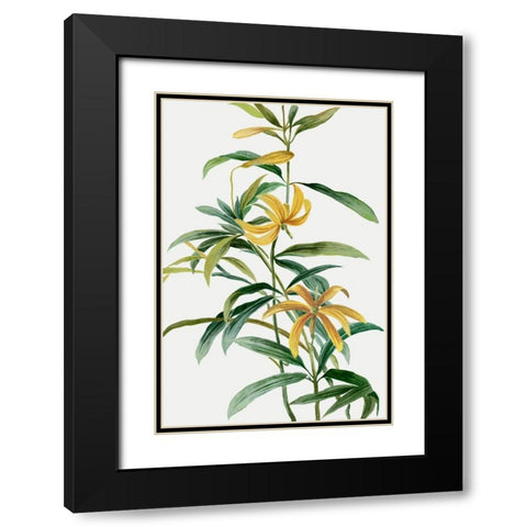 Yellow Tropical Flowers I  Black Modern Wood Framed Art Print with Double Matting by Jensen, Asia