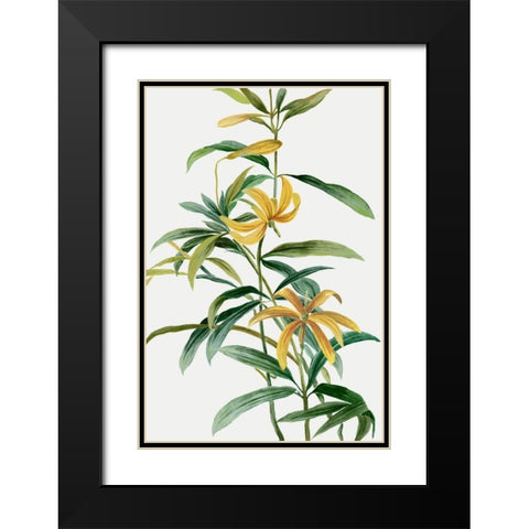 Yellow Tropical Flowers I  Black Modern Wood Framed Art Print with Double Matting by Jensen, Asia