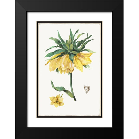 New Botana I  Black Modern Wood Framed Art Print with Double Matting by Jensen, Asia