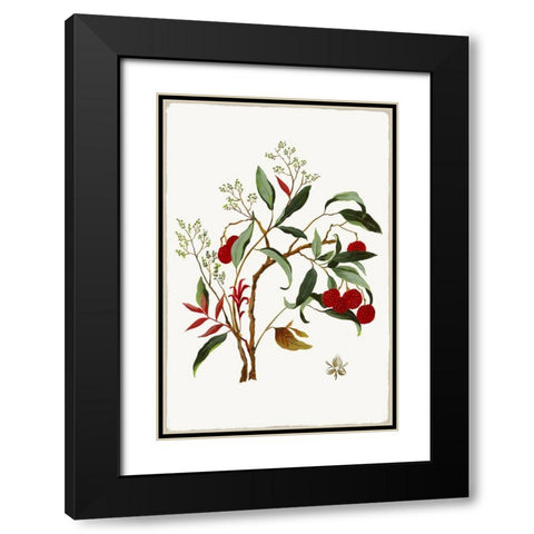 New Botana II  Black Modern Wood Framed Art Print with Double Matting by Jensen, Asia