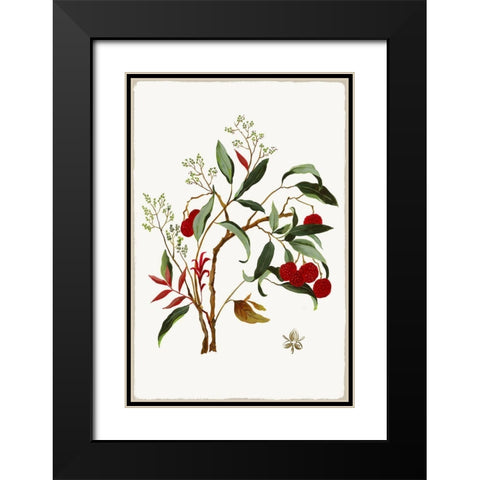 New Botana II  Black Modern Wood Framed Art Print with Double Matting by Jensen, Asia