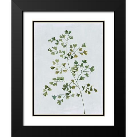 Green Fern II  Black Modern Wood Framed Art Print with Double Matting by Jensen, Asia