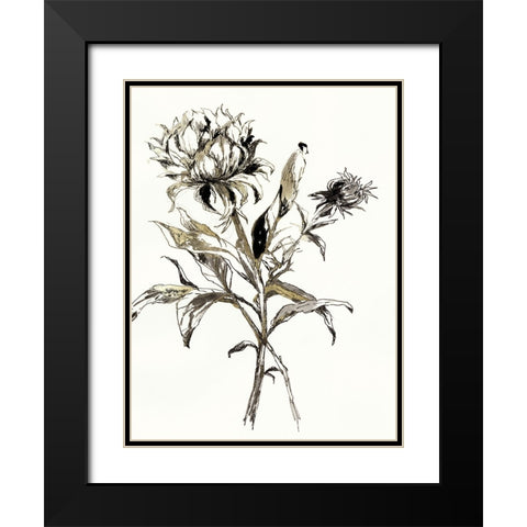 Botanical Seed I Black Modern Wood Framed Art Print with Double Matting by Jensen, Asia