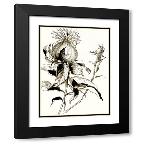 Botanical Seed II Black Modern Wood Framed Art Print with Double Matting by Jensen, Asia