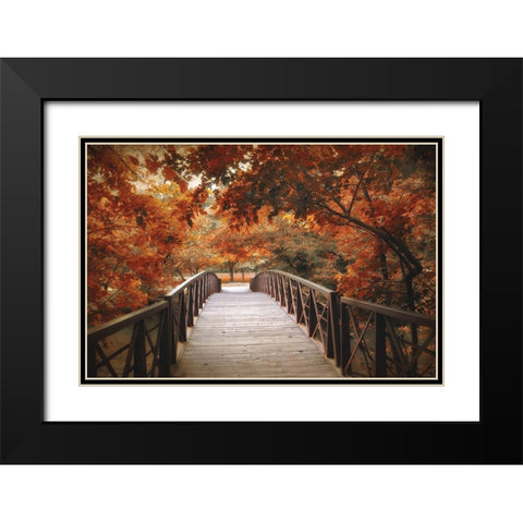 Footbridge Black Modern Wood Framed Art Print with Double Matting by Jenney, Jessica