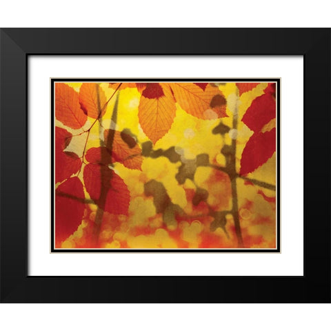 Golden Foliage Black Modern Wood Framed Art Print with Double Matting by McMasters, James