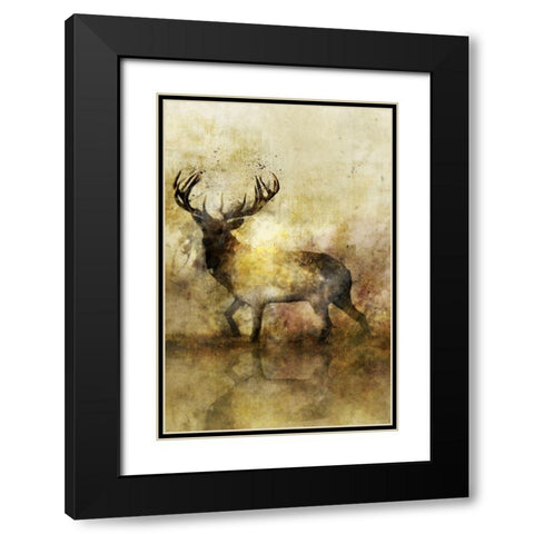 Calm Deer II Black Modern Wood Framed Art Print with Double Matting by Roko, Ken