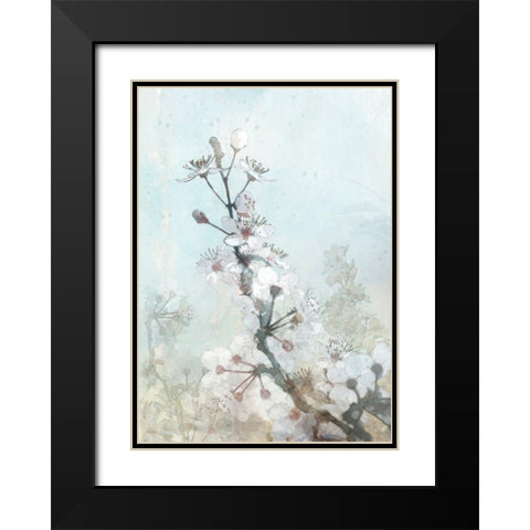 Climbing Cherry Blossoms I  Black Modern Wood Framed Art Print with Double Matting by Roko, Ken