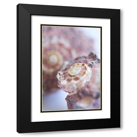 Purple Conch I Black Modern Wood Framed Art Print with Double Matting by Millet, Karyn