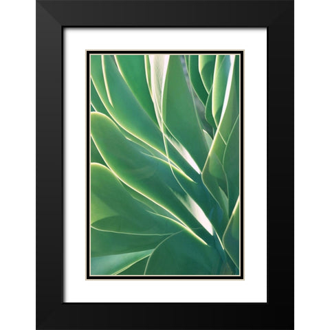 Botanical Light Play Black Modern Wood Framed Art Print with Double Matting by Robertson, Leda