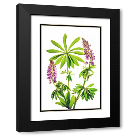 Greet the Day Black Modern Wood Framed Art Print with Double Matting by Robertson, Leda