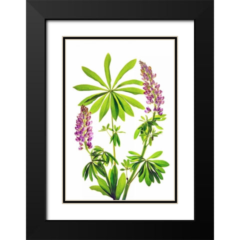 Greet the Day Black Modern Wood Framed Art Print with Double Matting by Robertson, Leda
