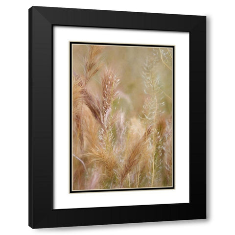 Dreamy Summer I  Black Modern Wood Framed Art Print with Double Matting by Robertson, Leda