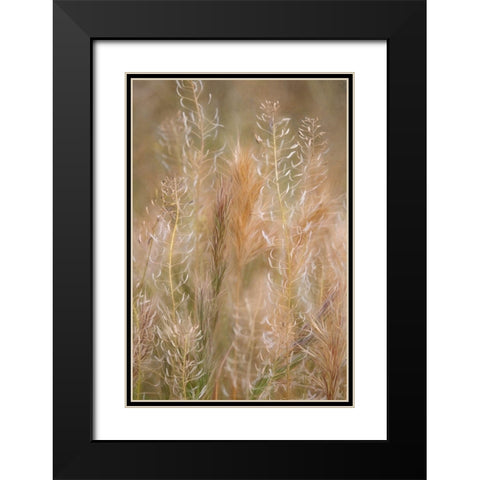 Dreamy Summer II Black Modern Wood Framed Art Print with Double Matting by Robertson, Leda