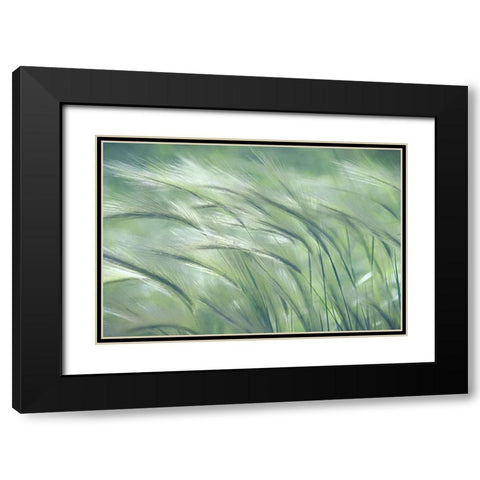Gentle Dreams  Black Modern Wood Framed Art Print with Double Matting by Robertson, Leda