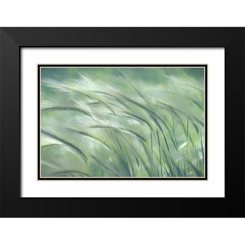 Gentle Dreams  Black Modern Wood Framed Art Print with Double Matting by Robertson, Leda