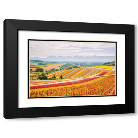 Flowers in Hokkaido II  Black Modern Wood Framed Art Print with Double Matting by Lefer, Clement