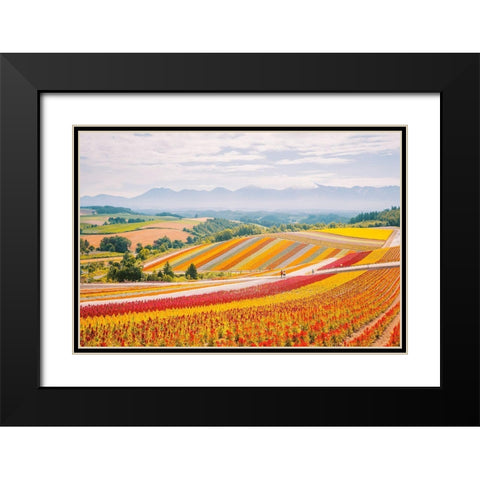 Flowers in Hokkaido II  Black Modern Wood Framed Art Print with Double Matting by Lefer, Clement