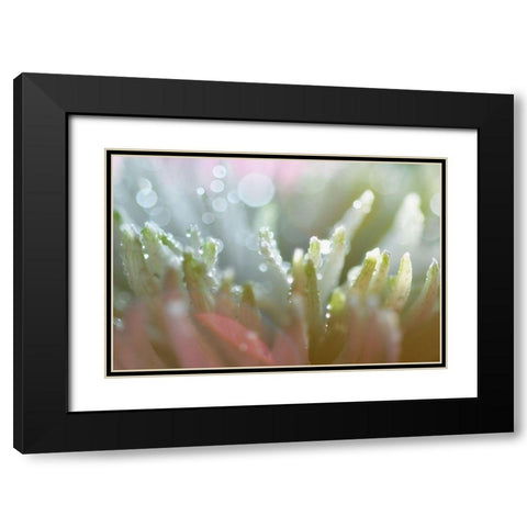 Tranquility Black Modern Wood Framed Art Print with Double Matting by Agrypolous, Lisa