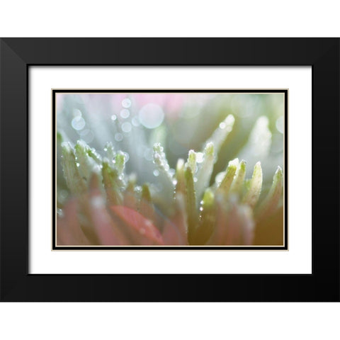 Tranquility Black Modern Wood Framed Art Print with Double Matting by Agrypolous, Lisa