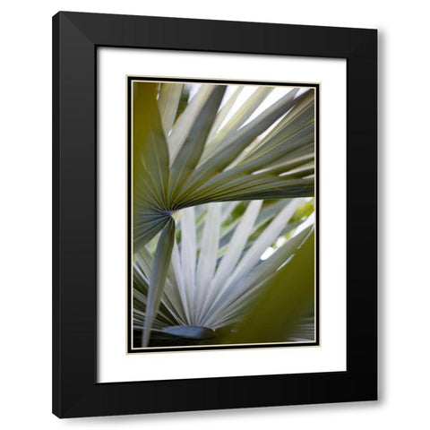 Transcending I Black Modern Wood Framed Art Print with Double Matting by Mourier, Lily