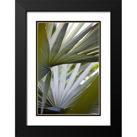 Transcending I Black Modern Wood Framed Art Print with Double Matting by Mourier, Lily