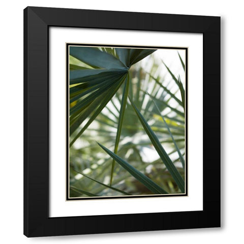 Transcending II Black Modern Wood Framed Art Print with Double Matting by Mourier, Lily