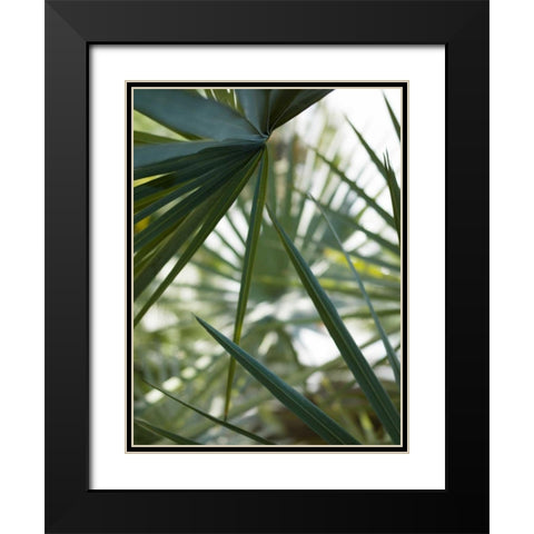 Transcending II Black Modern Wood Framed Art Print with Double Matting by Mourier, Lily