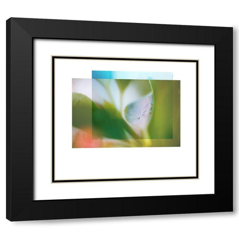 Leaf Overlap Black Modern Wood Framed Art Print with Double Matting by Delva, Florence