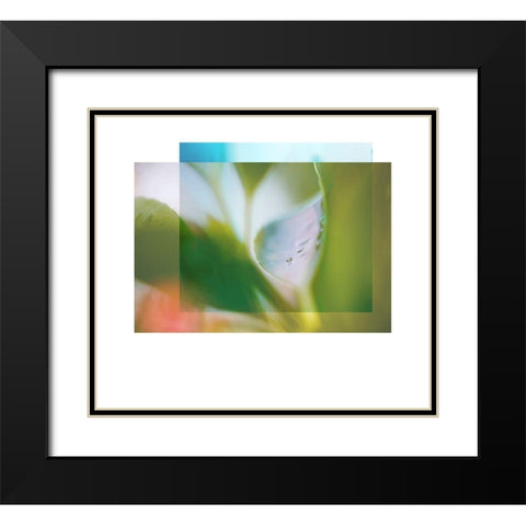 Leaf Overlap Black Modern Wood Framed Art Print with Double Matting by Delva, Florence