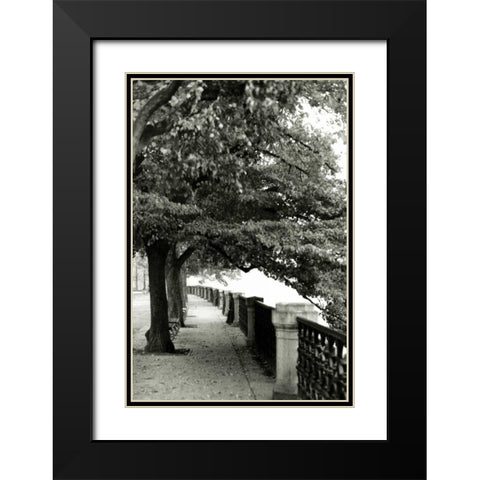 Park at Dusk II Black Modern Wood Framed Art Print with Double Matting by Denardo, Laura