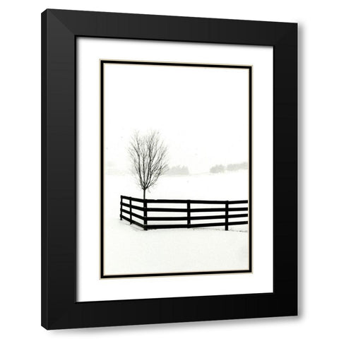 Snowy Wonderland I  Black Modern Wood Framed Art Print with Double Matting by Denardo, Laura