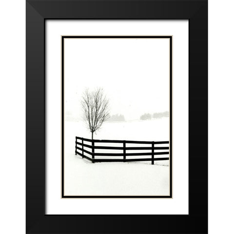 Snowy Wonderland I  Black Modern Wood Framed Art Print with Double Matting by Denardo, Laura