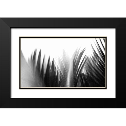 In the Green I - B-W  Black Modern Wood Framed Art Print with Double Matting by Weisbeck, Lena