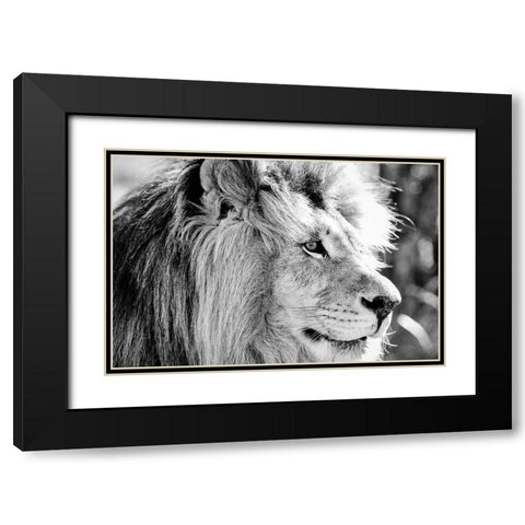 Majestic Black Modern Wood Framed Art Print with Double Matting by Drummond, Max