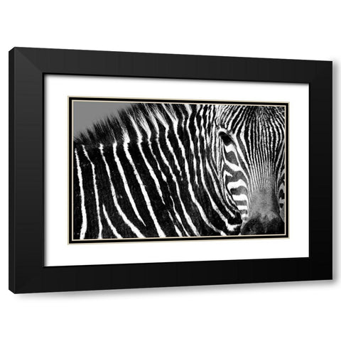 Curiosity Black Modern Wood Framed Art Print with Double Matting by Drummond, Max