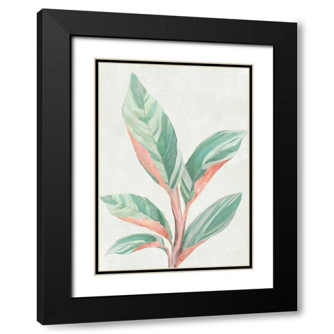 Ginger Plant II Black Modern Wood Framed Art Print with Double Matting by Woods, Maya