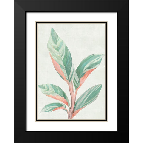 Ginger Plant II Black Modern Wood Framed Art Print with Double Matting by Woods, Maya