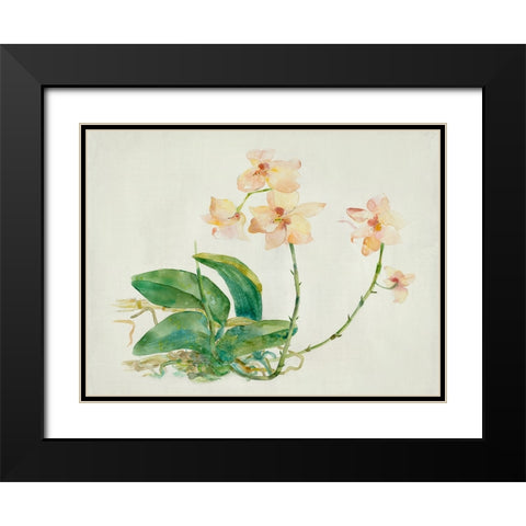 Pink Orchid Black Modern Wood Framed Art Print with Double Matting by Woods, Maya